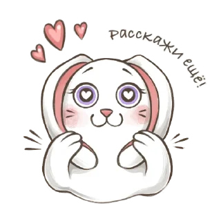 🐰