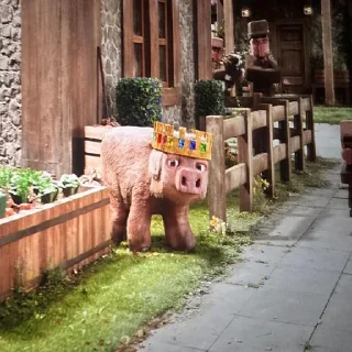 🐷