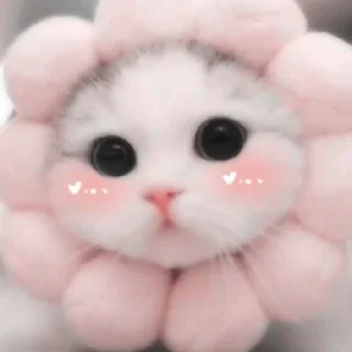 🐈
