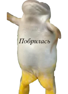 🥟