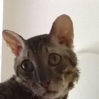 😒