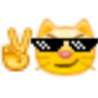 😼