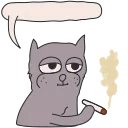 😸
