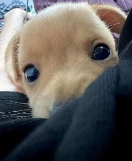 😊