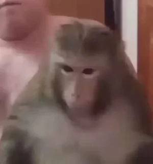 😳