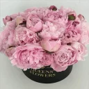 🌹