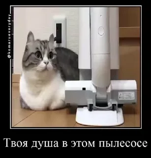 😡