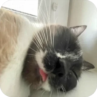 😵