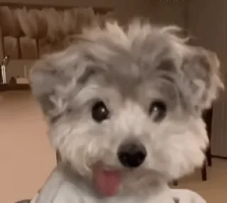 😛