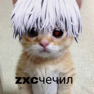😾