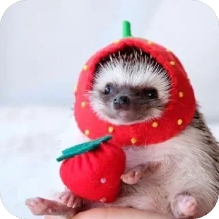 🍓