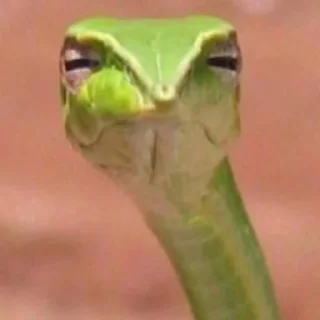 😑