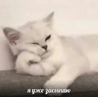 🥱