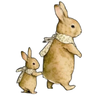 🐇