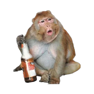 🍻