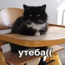 😄