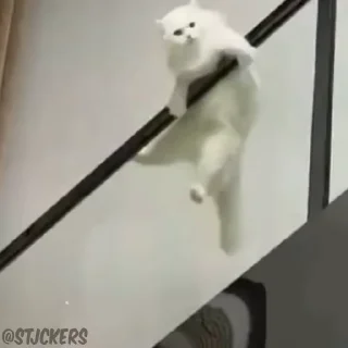🙃