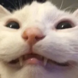 🤯