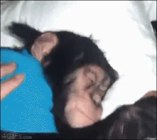 😴