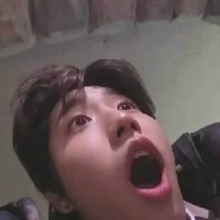 🐿️