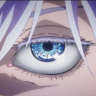 🌟