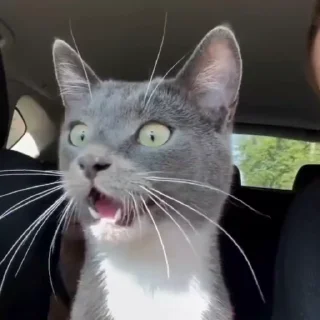 😳