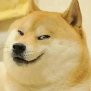 🌚