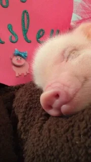 ☺️