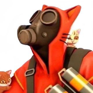 😺