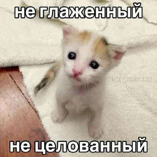🤩
