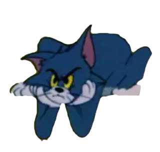 😾