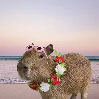 😎