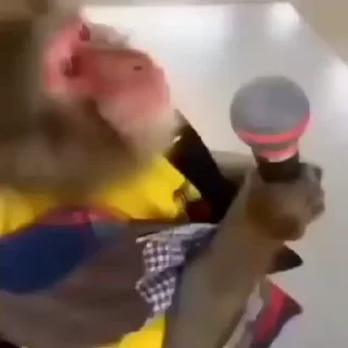 🎤