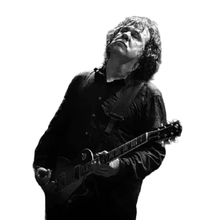 🎸