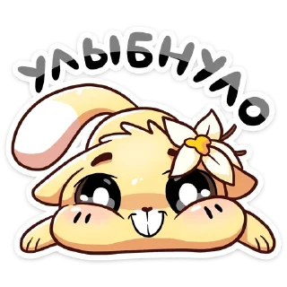😊