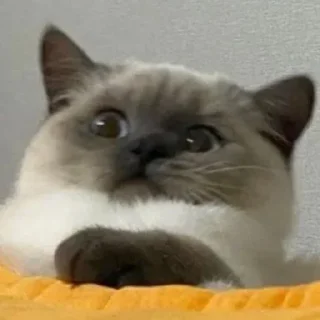 😳