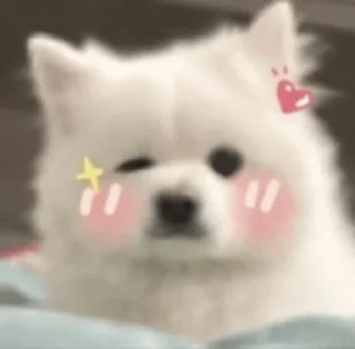 😉