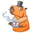 🎩