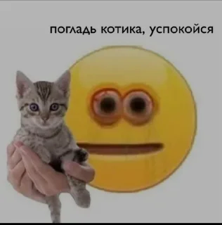 😺
