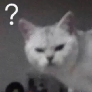 🗿