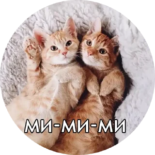 🥰