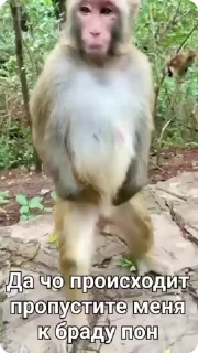 🤷‍♂