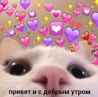 💟