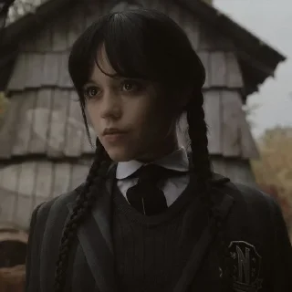 🕸