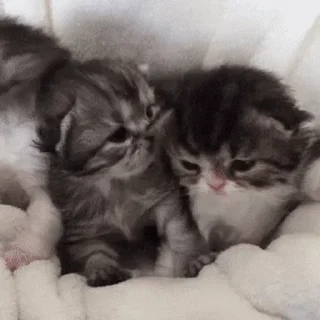 ❤️