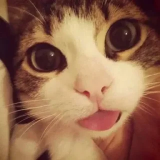 🥰