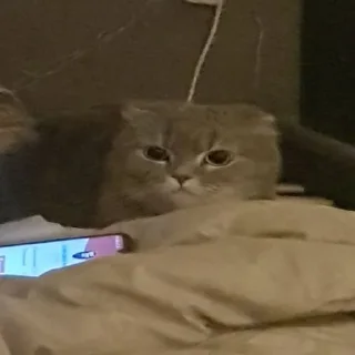 🥱