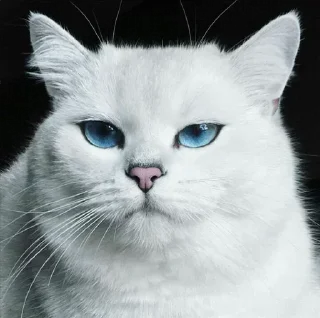 💙
