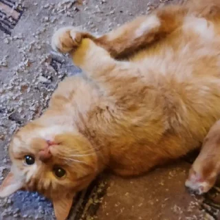 🤪
