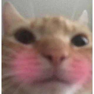 😳